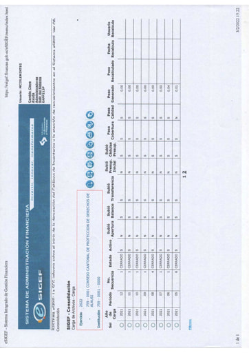 ANEXOS CARGA FINANCIERA